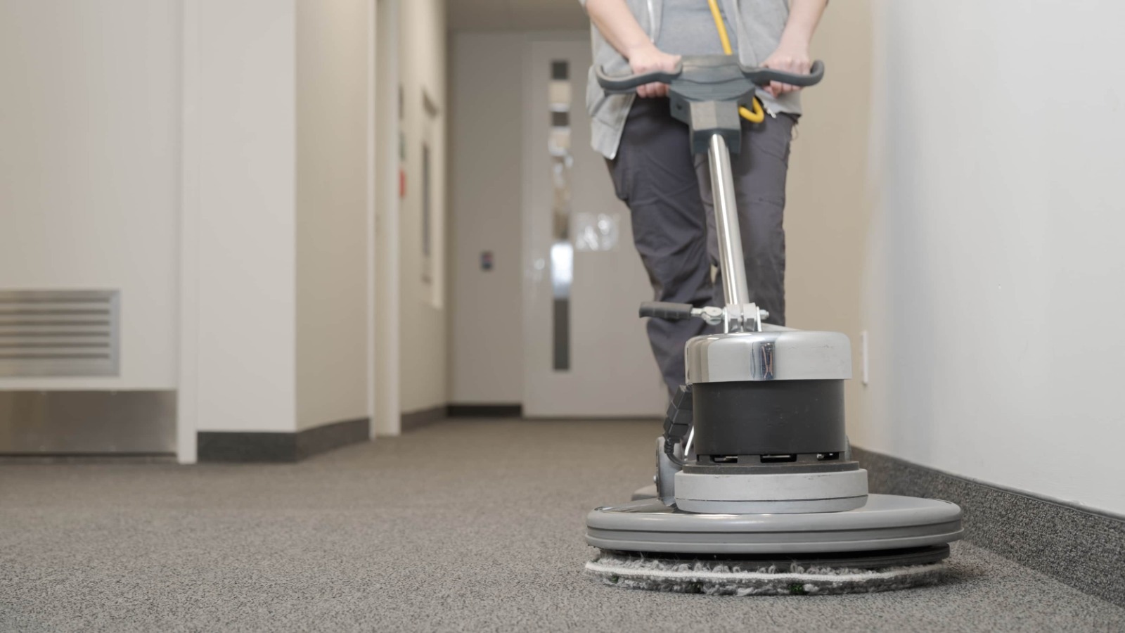 Best Carpet Cleaners Near Me: Trusted Solutions by Guardian Carpet Cleaning