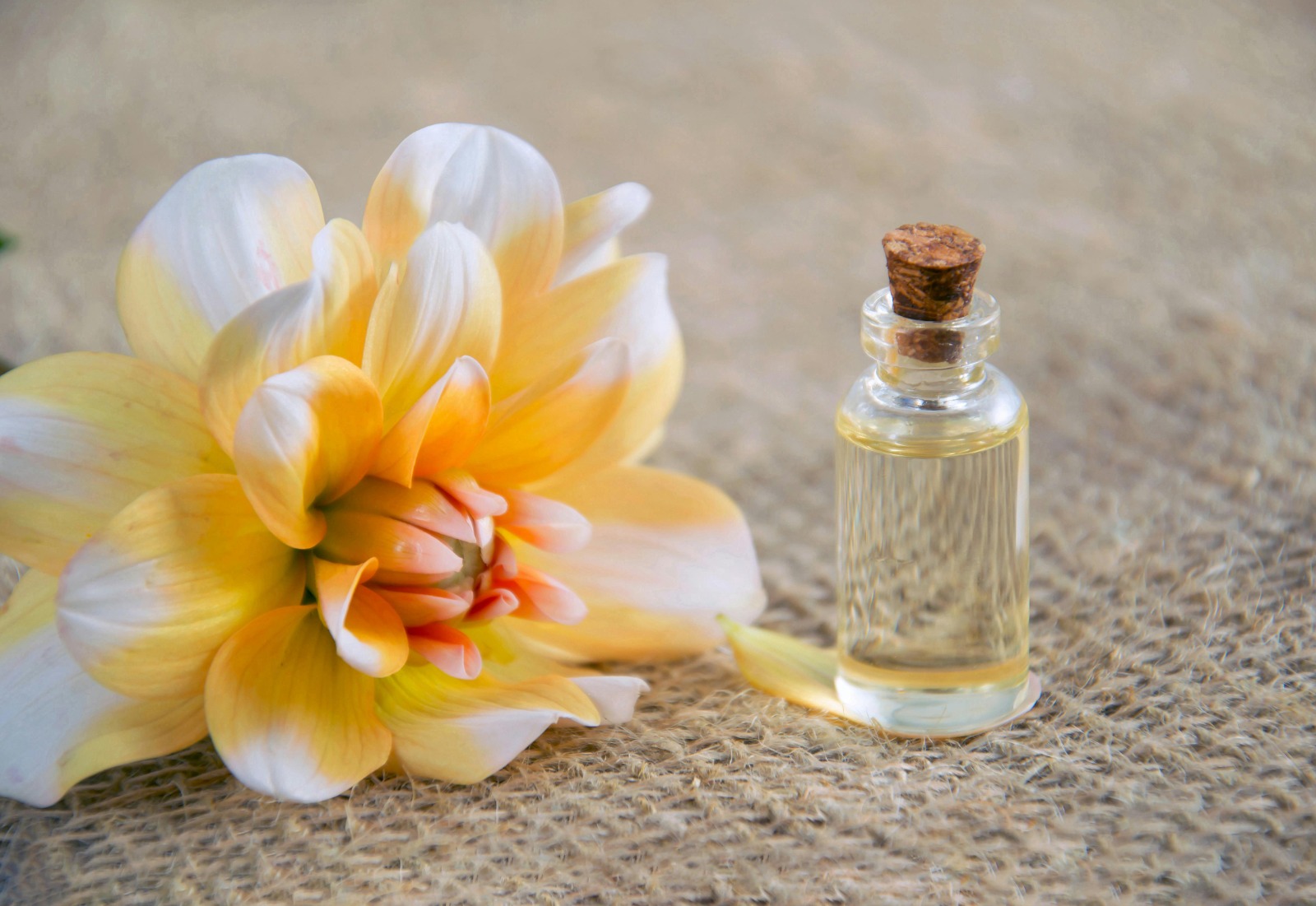 Where to Buy Exclusive Luxury Cologne Samples For Men Online